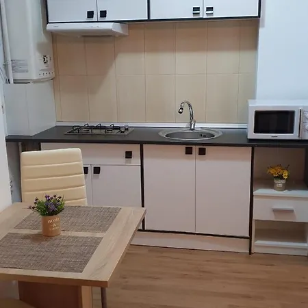 Roxana Apartment Mamaia